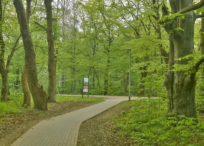 Polanki- M&m, Natura アパート